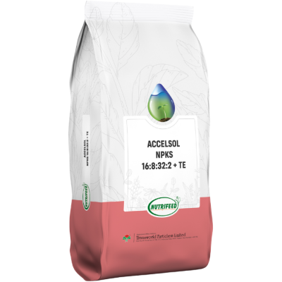AccelSol NPKS 16-8-32-2 + TE