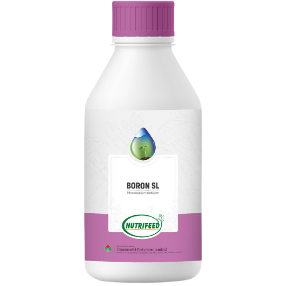 Boron SL
