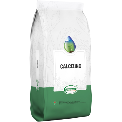Calcizinc