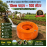 10mm pipe (100m)