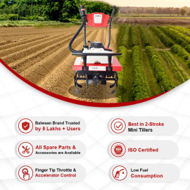 Power Weeder-BW-25