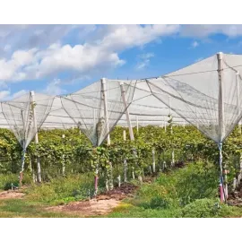 Anti Hail Net (8*30 Sq. meter)