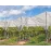 Anti Hail Net (8*30 Sq. meter)