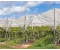 Anti Hail Net (8*30 Sq. meter)