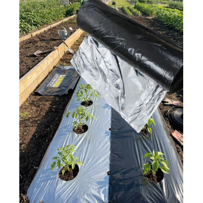 AGRI KING MULCHING FILM (39*20,400 mtr)