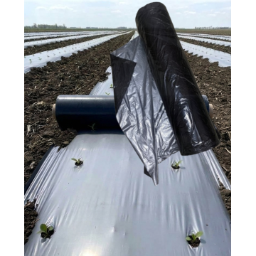 AGRI KING MULCHING FILM (30*20,800mtr)