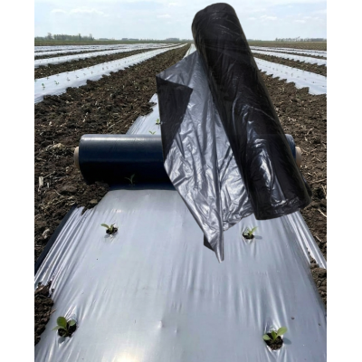 AGRI KING MULCHING FILM (30*20,800mtr)