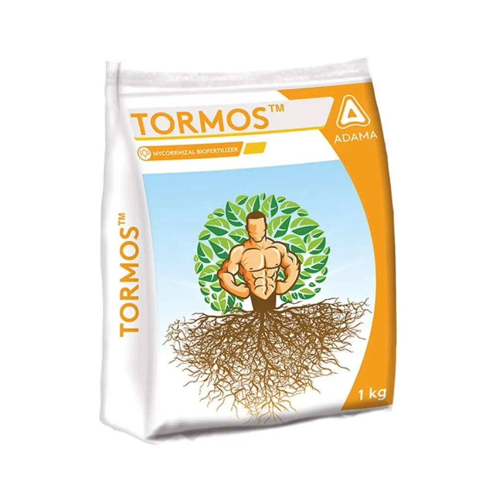 Tormos