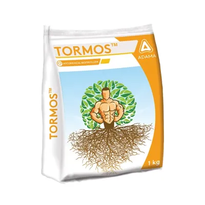 Tormos