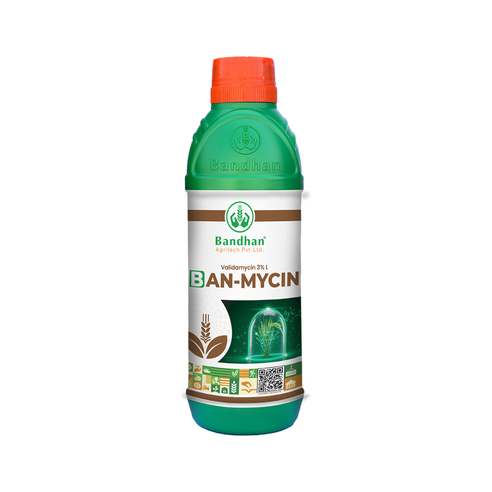 Ban-mycin (250ml)
