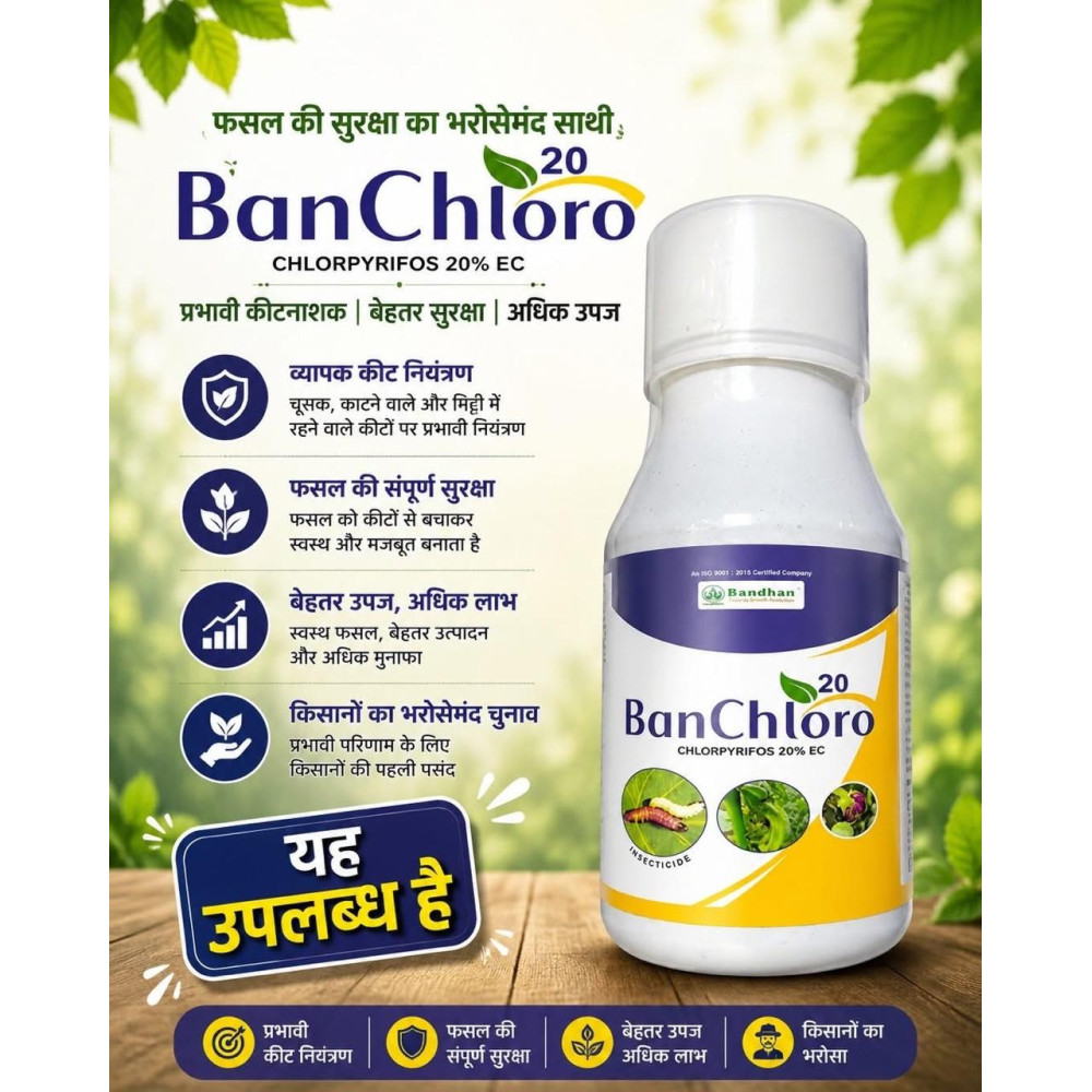 BANCHLORO 250ml