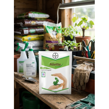 ALIETTE 100gm
