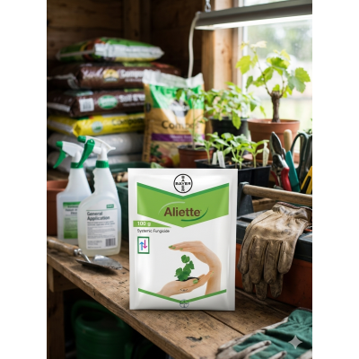 ALIETTE 100gm