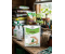 ALIETTE 100gm
