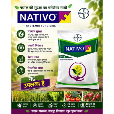 NATIVO