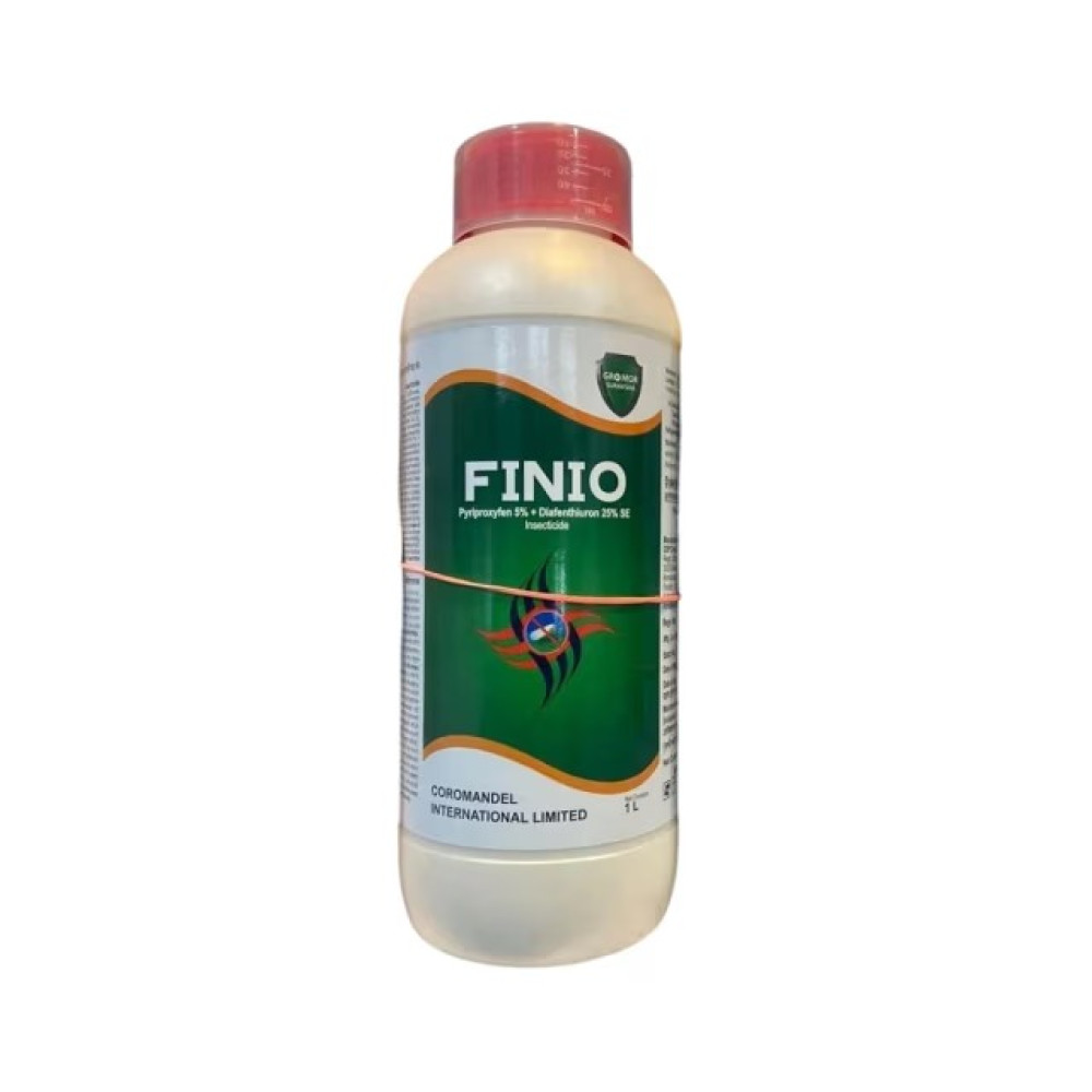 Coromandel Finio