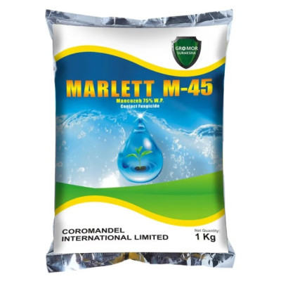 Coromandel Marlett M 45