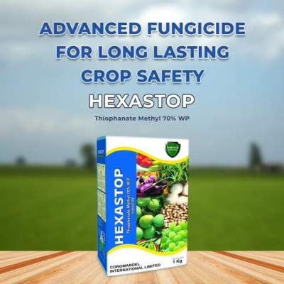 Hexastop