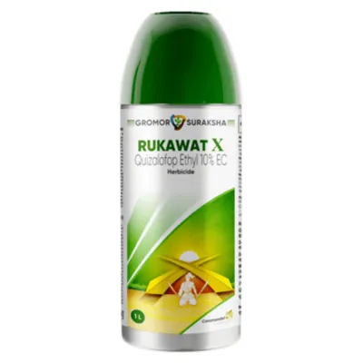 Rukawat-X