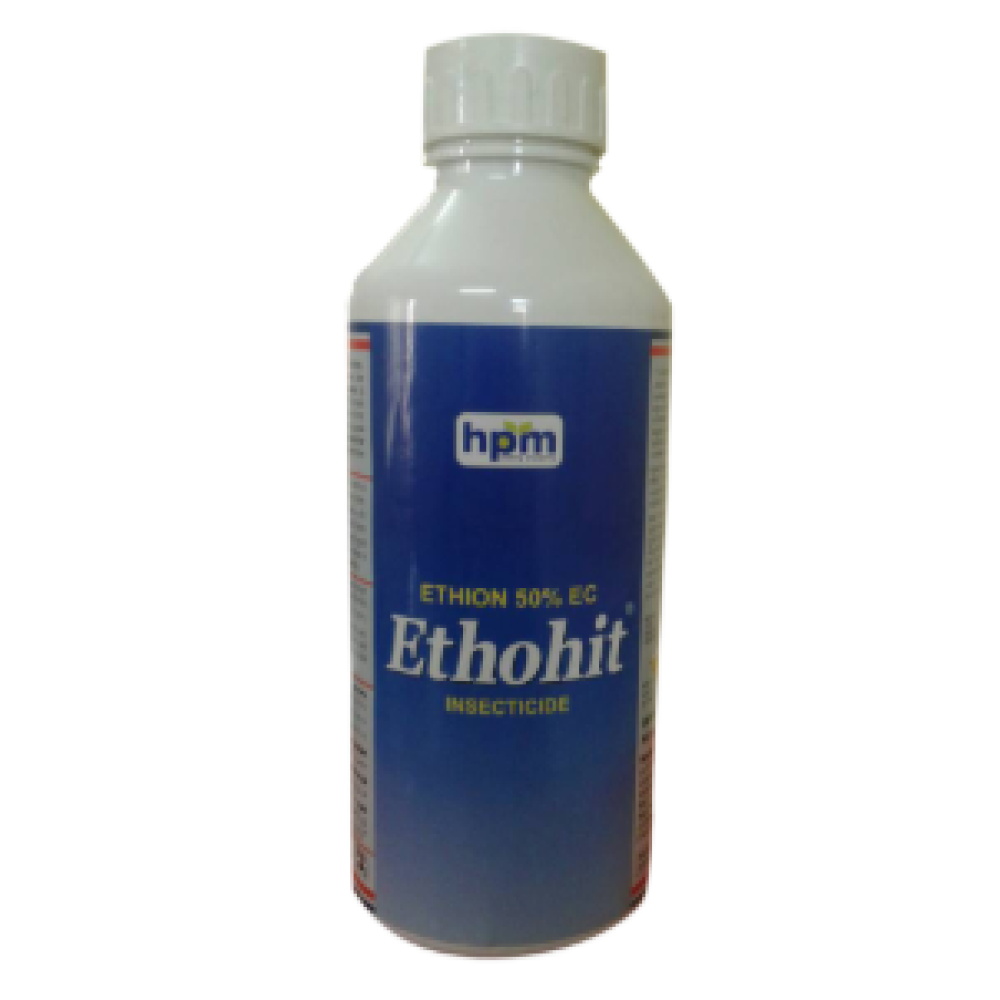 ETHOHIT