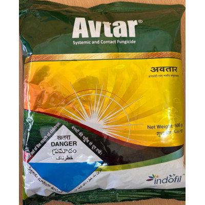 AVTAR 500gm