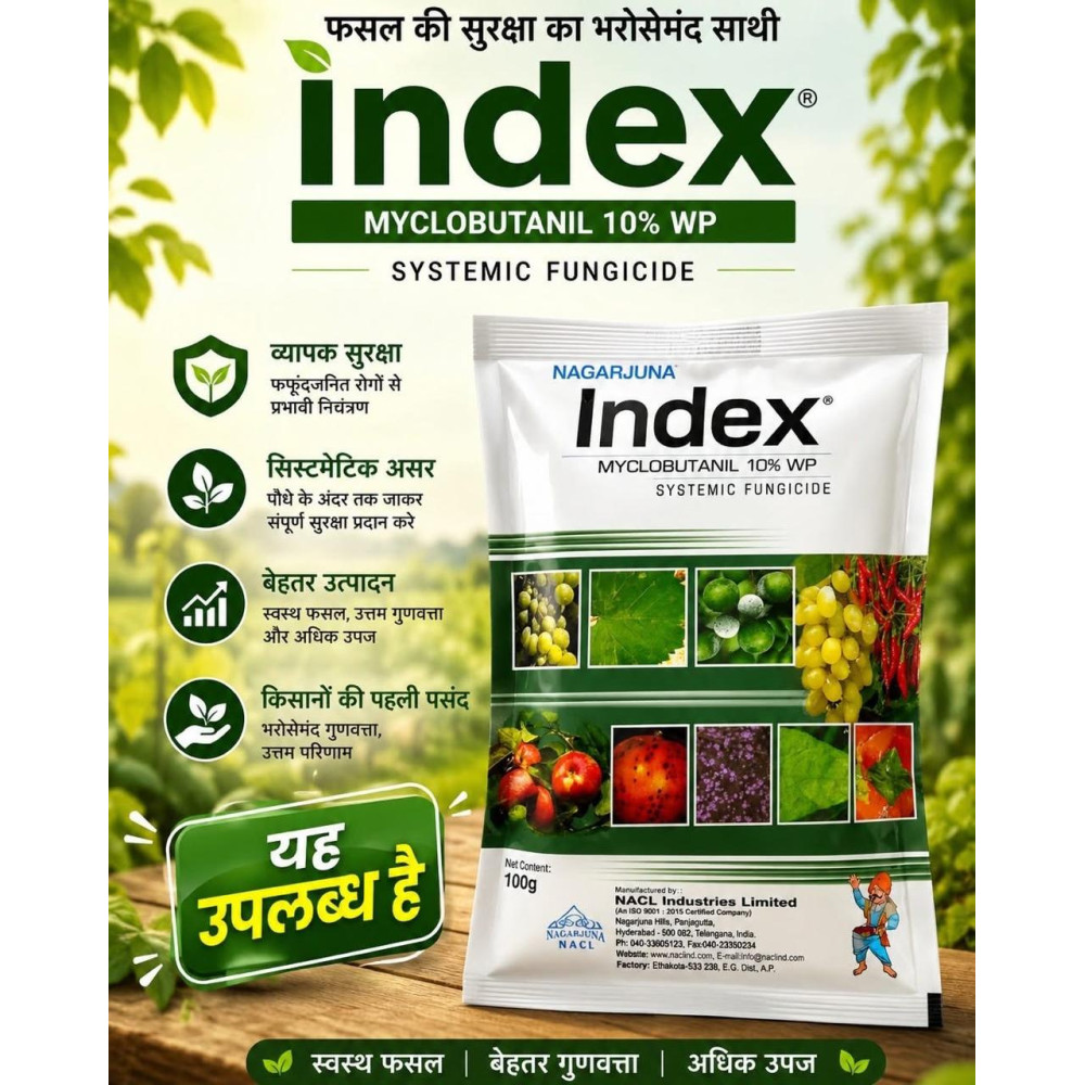 INDEX 100gm