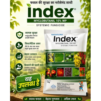 INDEX 100gm