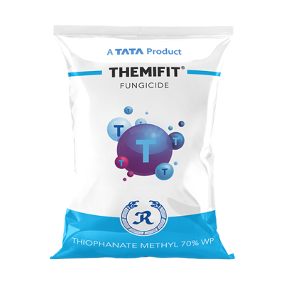 Themifit