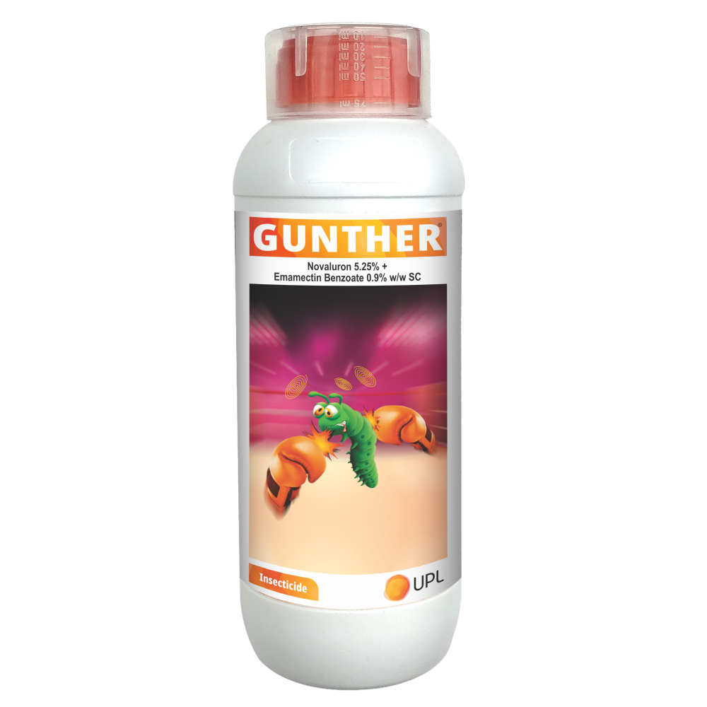 GUNTHER