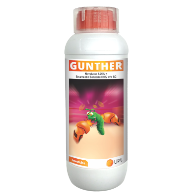 GUNTHER