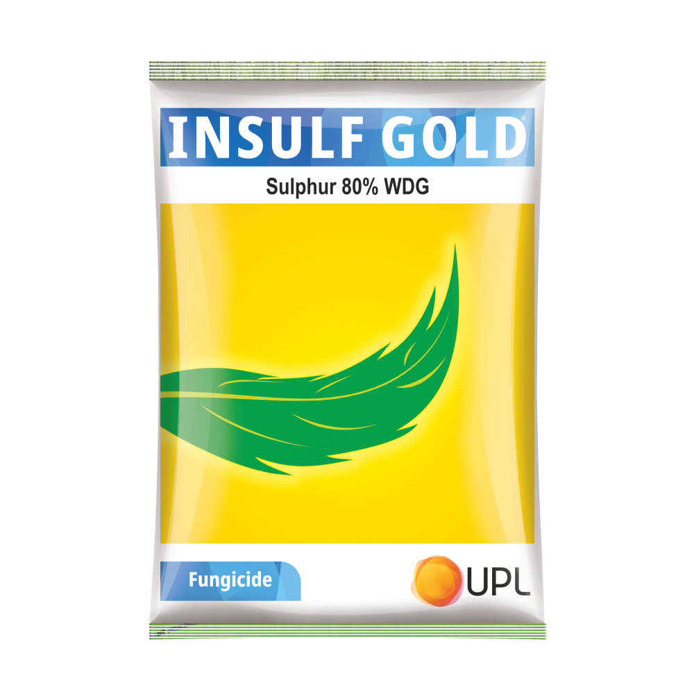 Insulf Gold