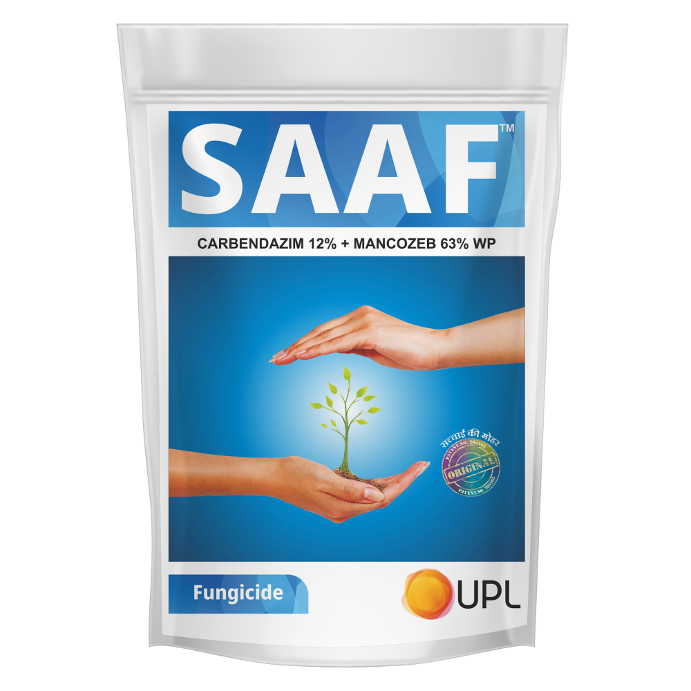Saaf