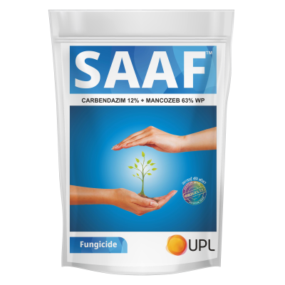 Saaf