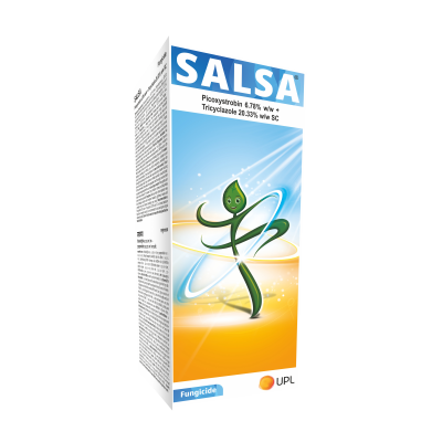 Salsa