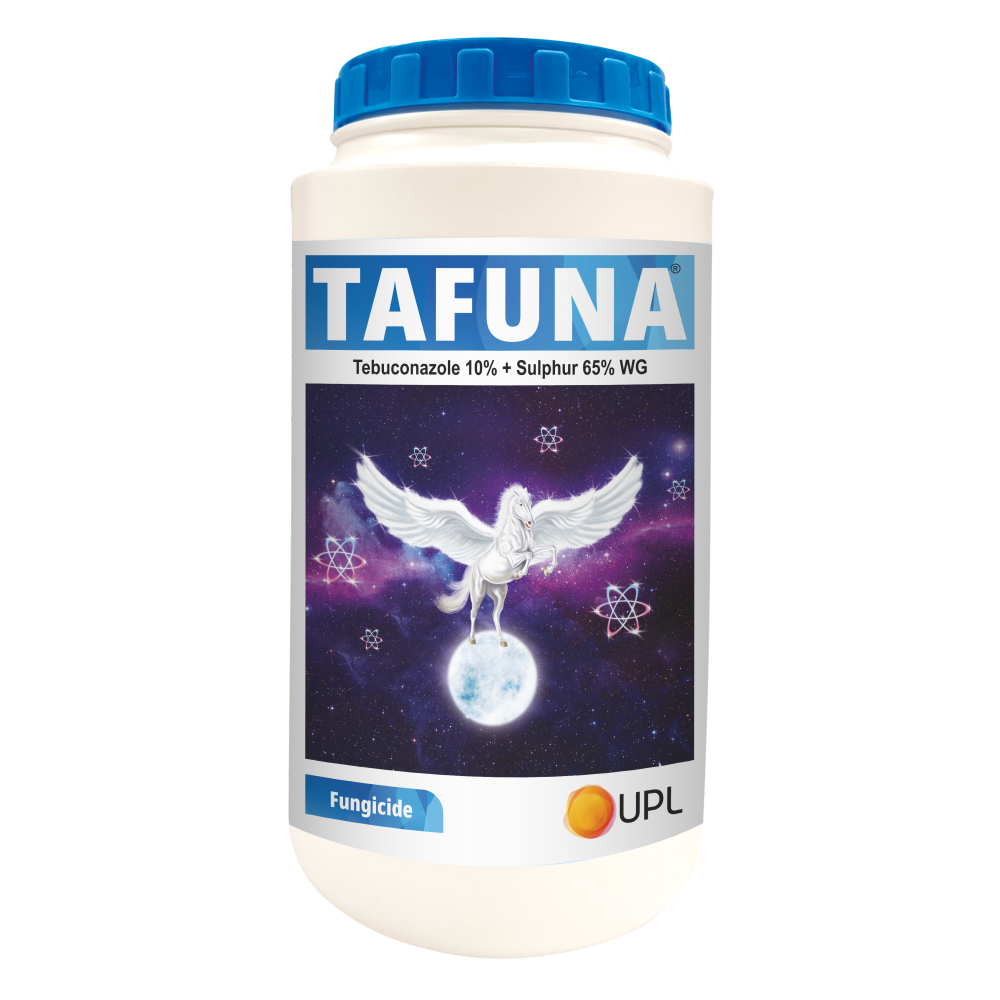 Tafuna