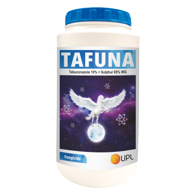 Tafuna