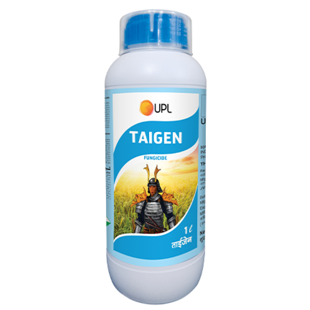 Taigen