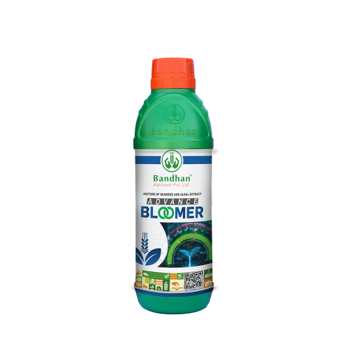 Advance Bloomer 1ltr