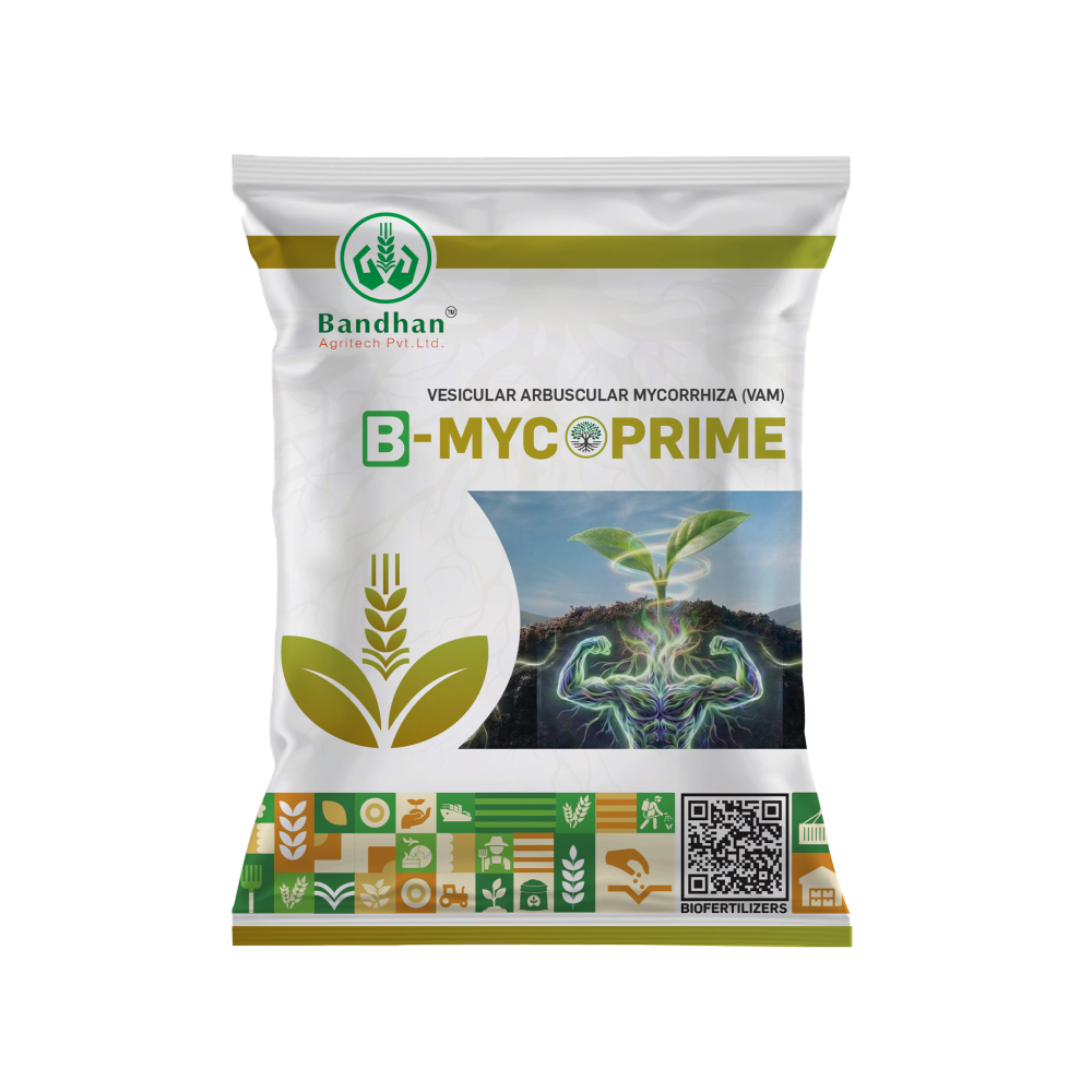 B-MYCO PRIME_5KG