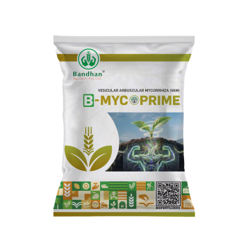 B-MYCO PRIME_5KG