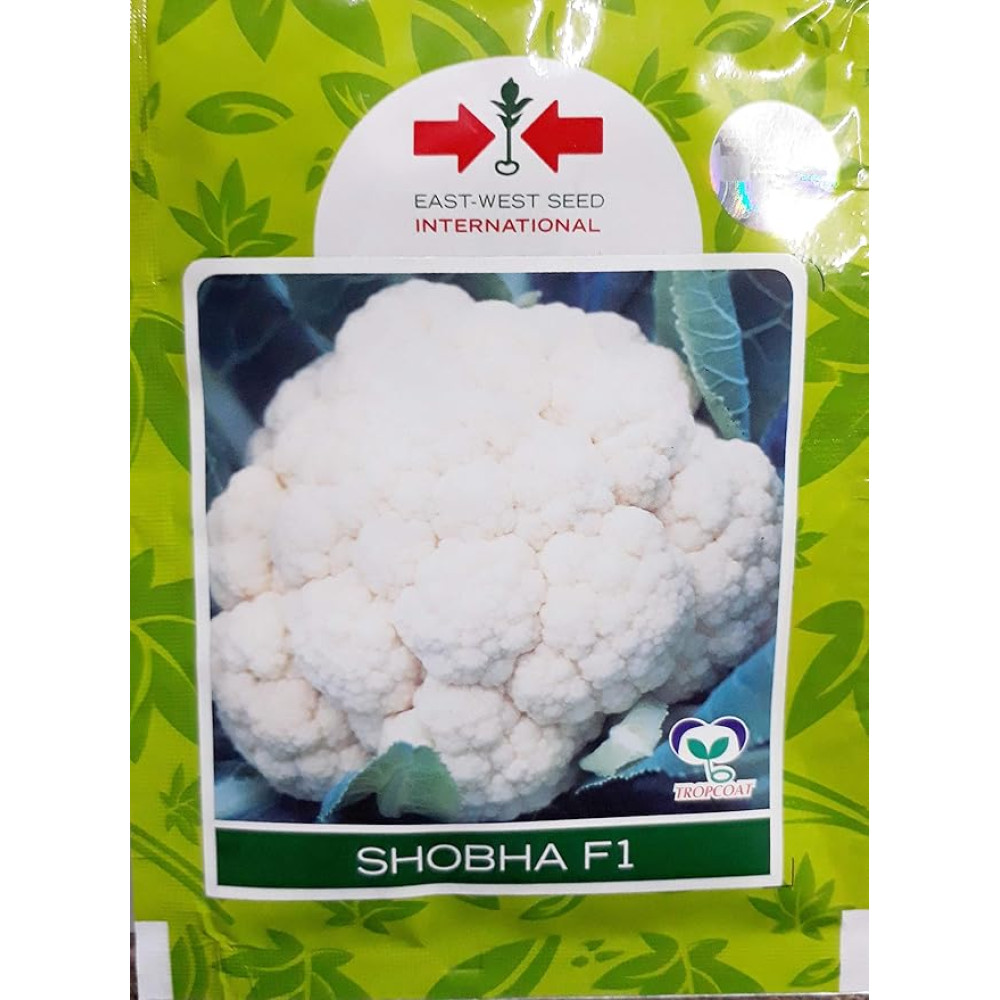 SHOBHA F1