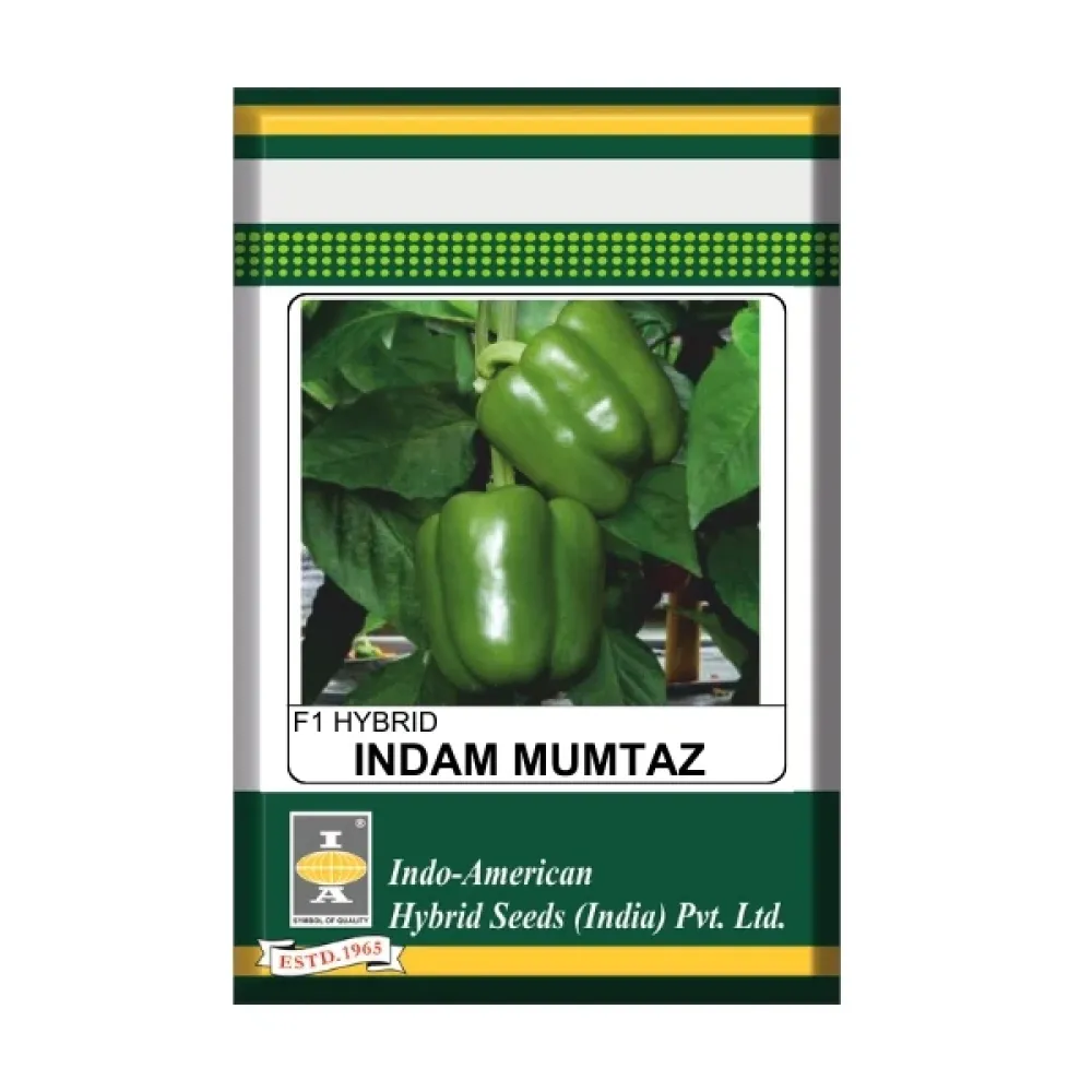 IAHS Capsicum Indam Mumtaz Seeds
