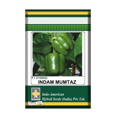 IAHS Capsicum Indam Mumtaz Seeds