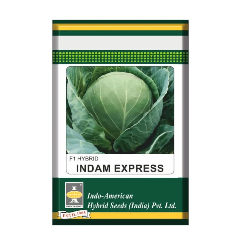 Indam Express