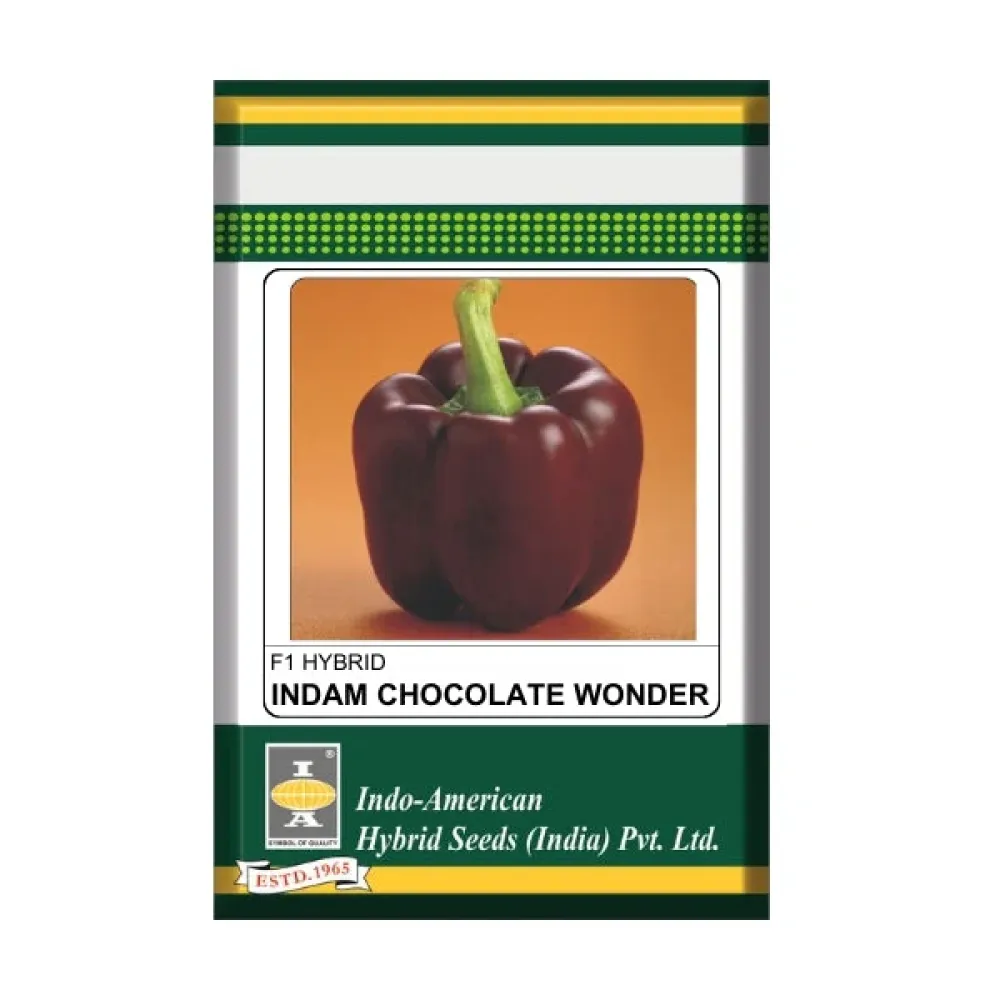 Indam Chocolate Wonder
