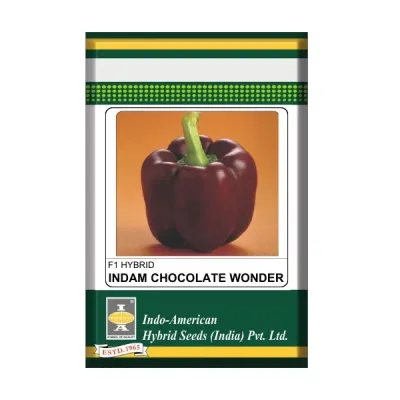 Indam Chocolate Wonder
