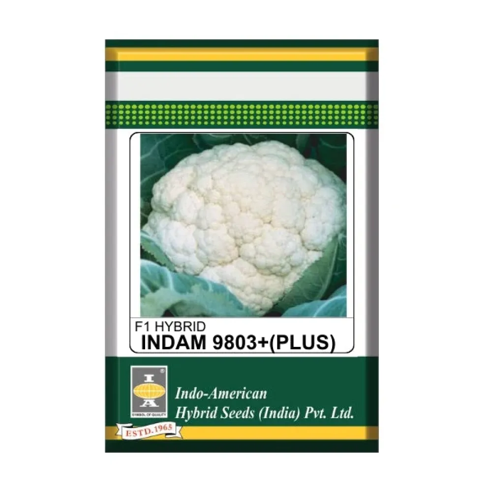 Indam 9803 Plus