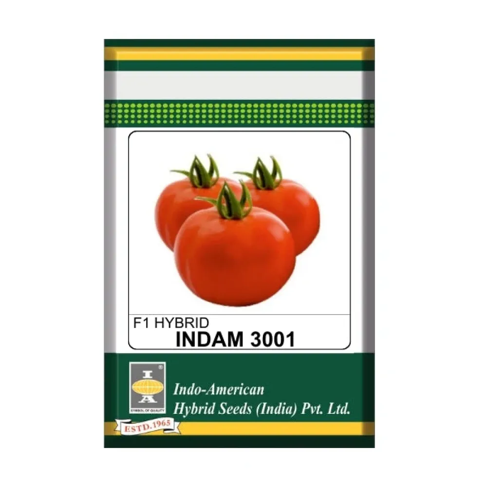 Indam 3001