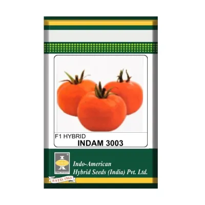 Indam 3003