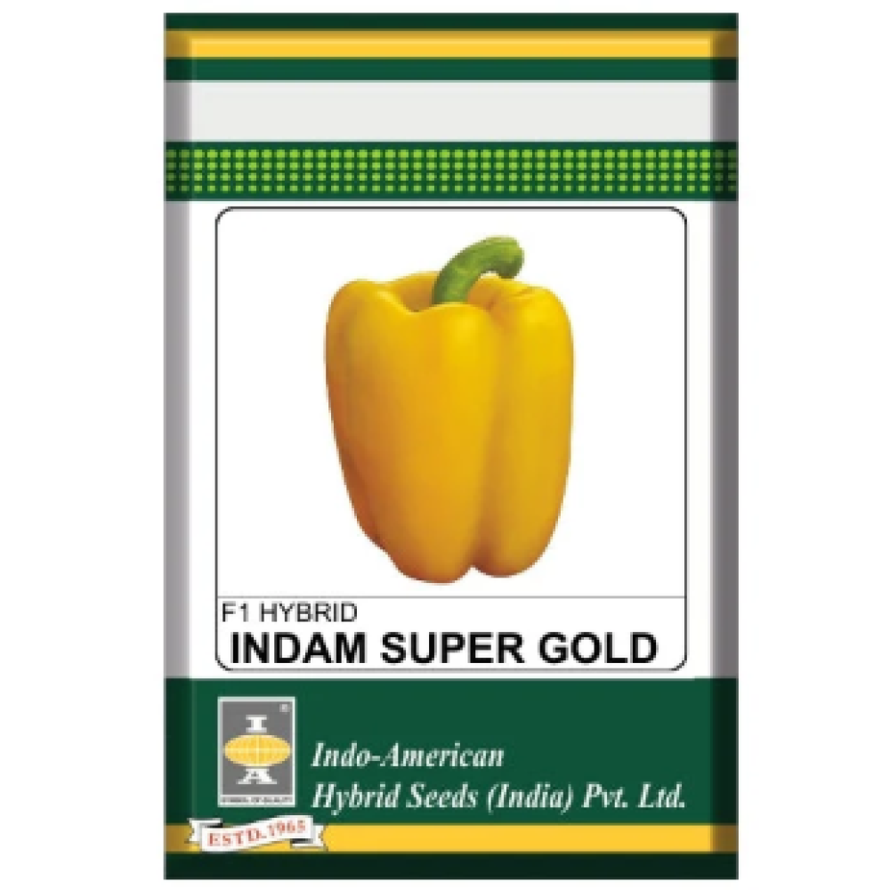 Indam Super Gold Capsicum